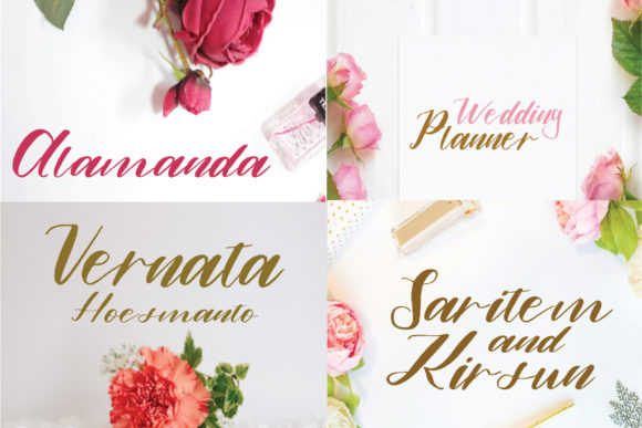 Alamanda: A Modern Script Typeface for Web Design