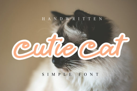 Cutie Cat Font for High-Impact Campaign Design
