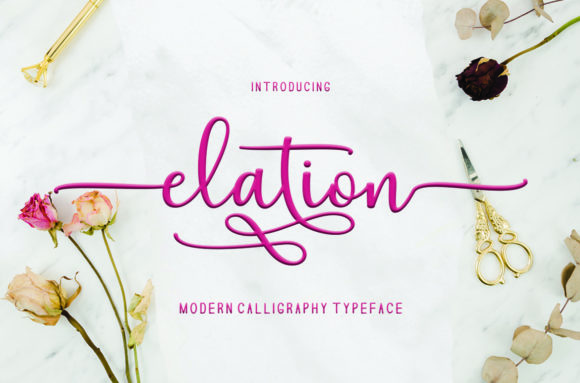 Elation Font: Elevate Your Small Business Branding