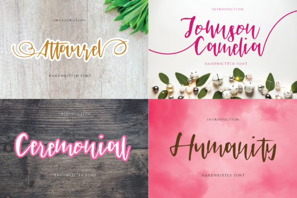 Johnson Camelia Font for Elegant Branding