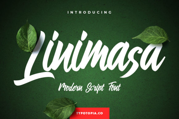 Linimasa Font Review for Modern Campaigns