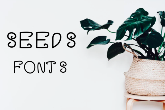 Seeds Font for Joyful Business Branding